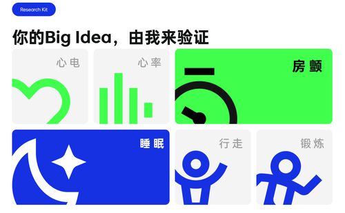 OPPO开发者大会前瞻 车机互融、智能服务与健康生态引领未来